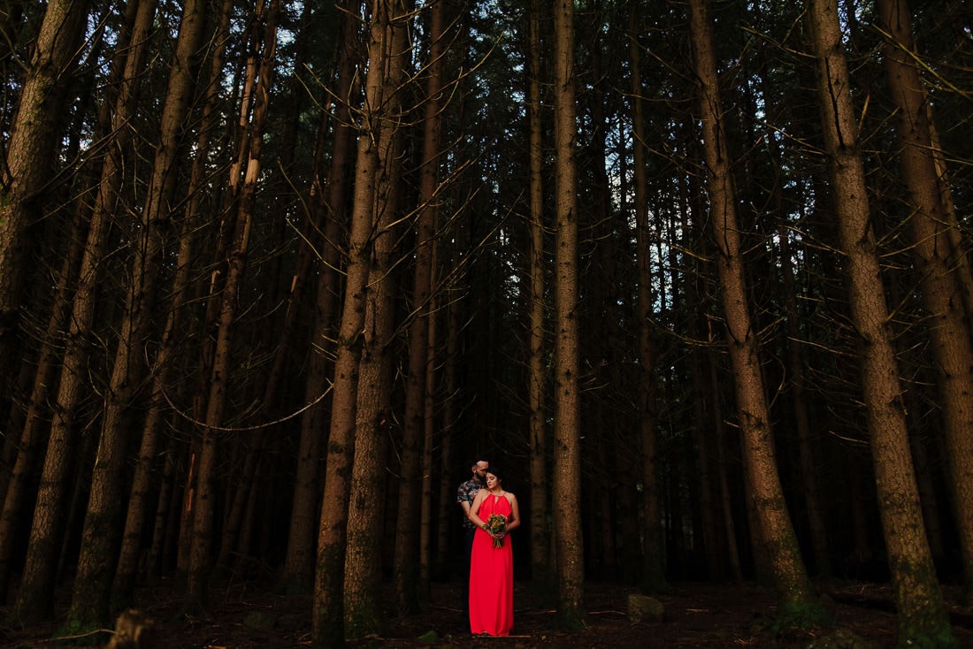 Couple engagement pine forest photography