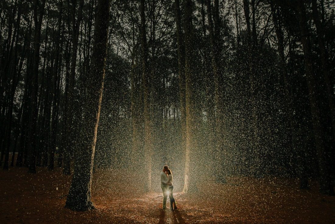 watagan pine forest rainy engagement photo